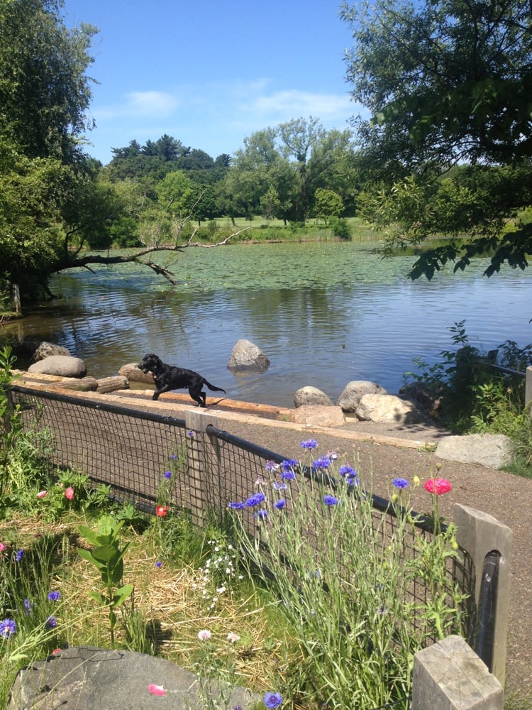 Fresh Pond 22 Photos Parks Cambridge, MA Reviews Yelp
