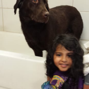 scrubby puppy scrubby puppy pet wash salon 54 photos pet groomers upland ca reviews yelp scrubby puppy scrubby puppy pet wash salon 54 photos pet groomers upland ca reviews yelp