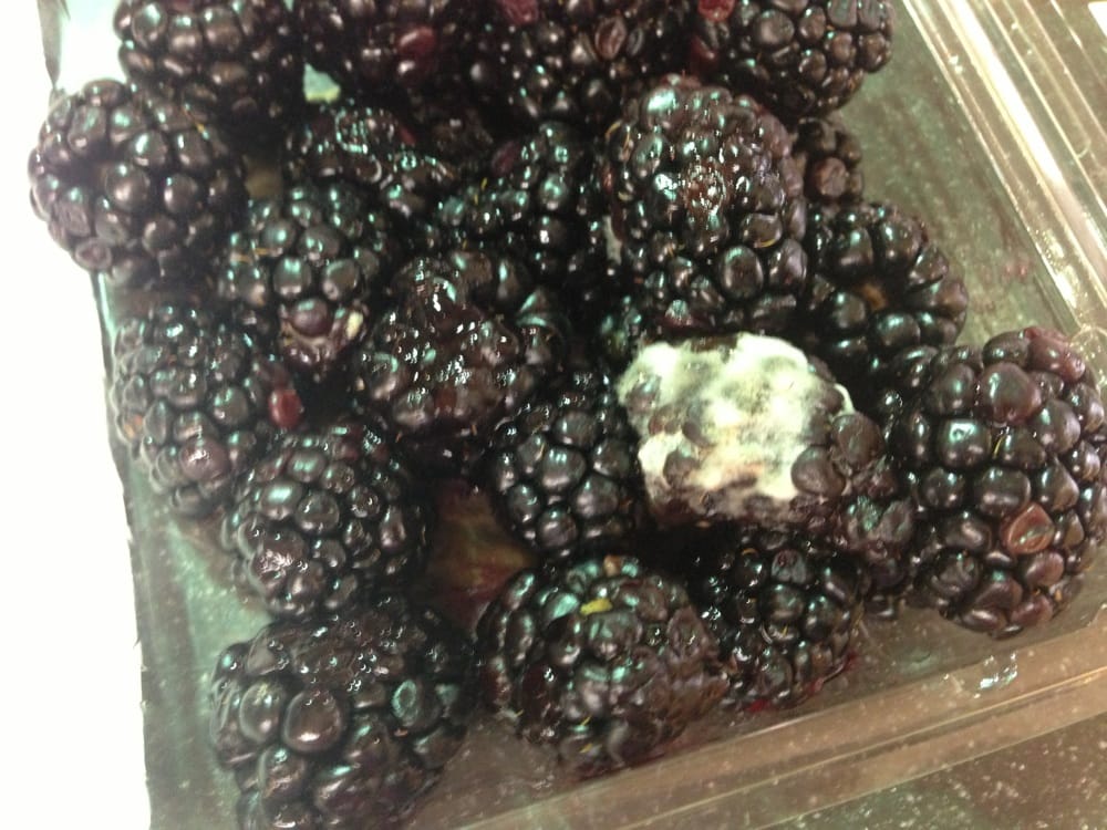 Super H Mart Grocery Riverdale, GA Reviews Photos Yelp