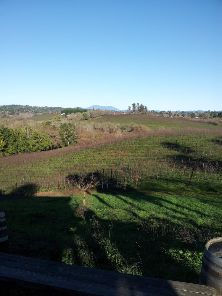 Iron Horse Vineyards Wineries Reviews Yelp