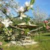 Mimoza Park
