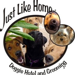 Just Like Home Doggie Hotel And Grooming Las Vegas Nv Just Like Home Doggie Hotel And Grooming Las Vegas Nv