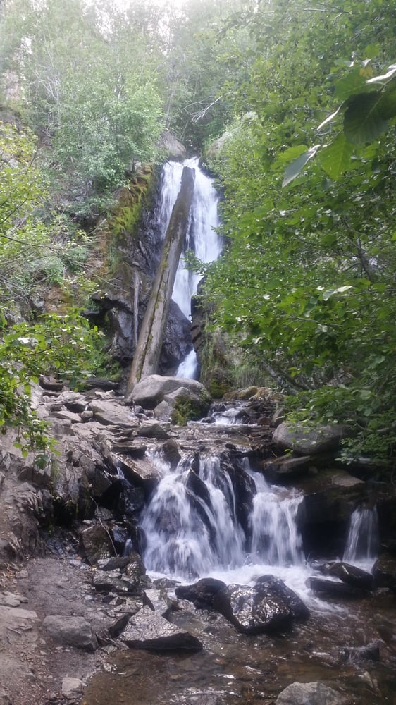 Hunter Creek Waterfall Trail Hiking Reno, NV Photos Yelp