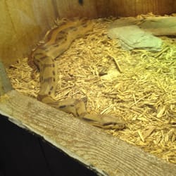 Pet and aquatic warehouse coupons