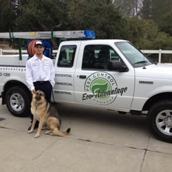 Eco Advantage Pest Control logo