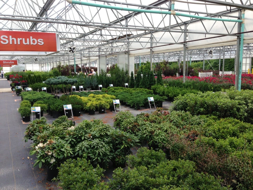 Natorp’s Nursery Outlet Nurseries & Gardening 8601 Snider Rd