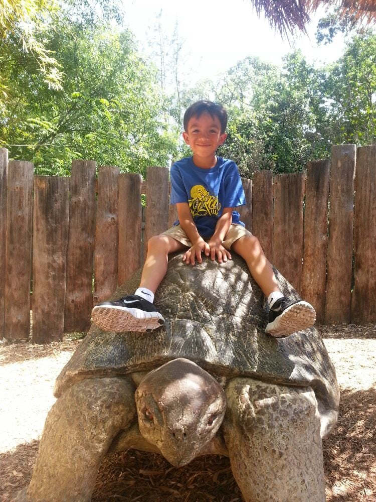 Micke Grove Zoo 103 Photos Zoos Lodi, CA Reviews Yelp