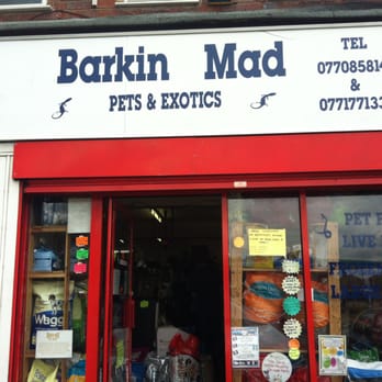 barkin mad pet stores birmingham west midlands barkin mad pet stores birmingham west midlands
