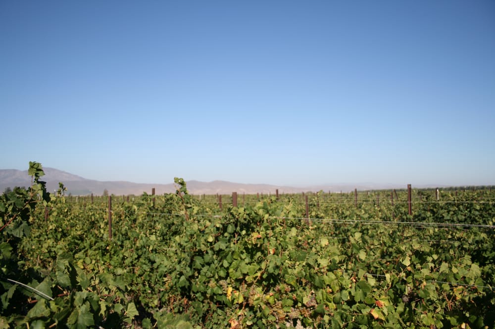 Ventana Vineyards Soledad, CA Yelp