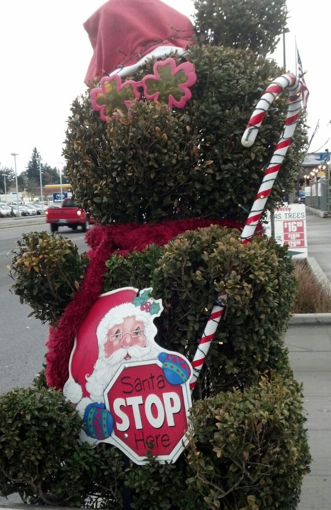 Chubby & Tubby Christmas Trees Christmas Trees Seattle, WA Yelp