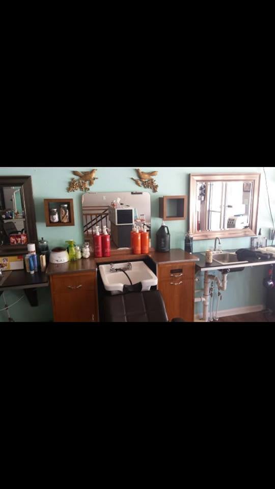 Union Hill Salon Hair Salons Asheville, NC Photos Yelp