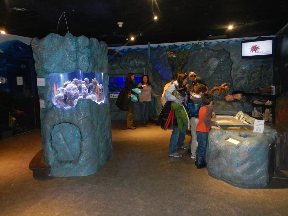 Butterfly Pavilion 149 Photos Museums Westminster, CO Reviews