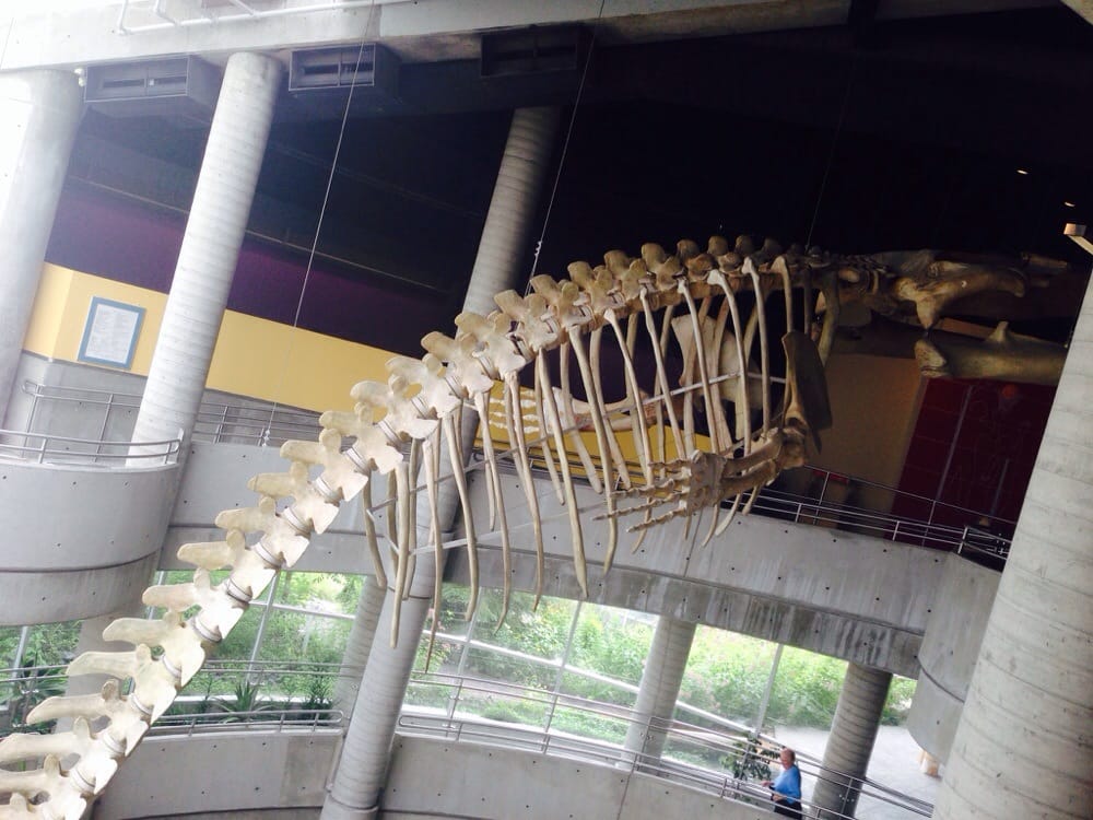 Science NorthScience Nord Sudbury, ON Yelp