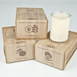 Level Naturals Factory logo