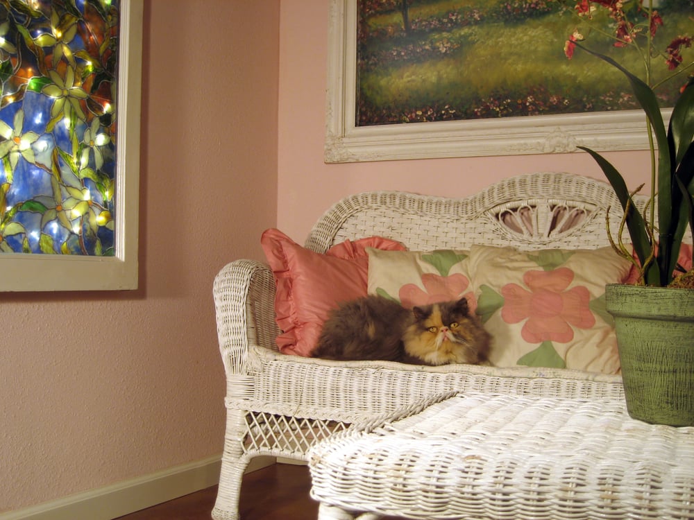 The Best Little Cat House Pet Boarding/Pet Sitting Burbank