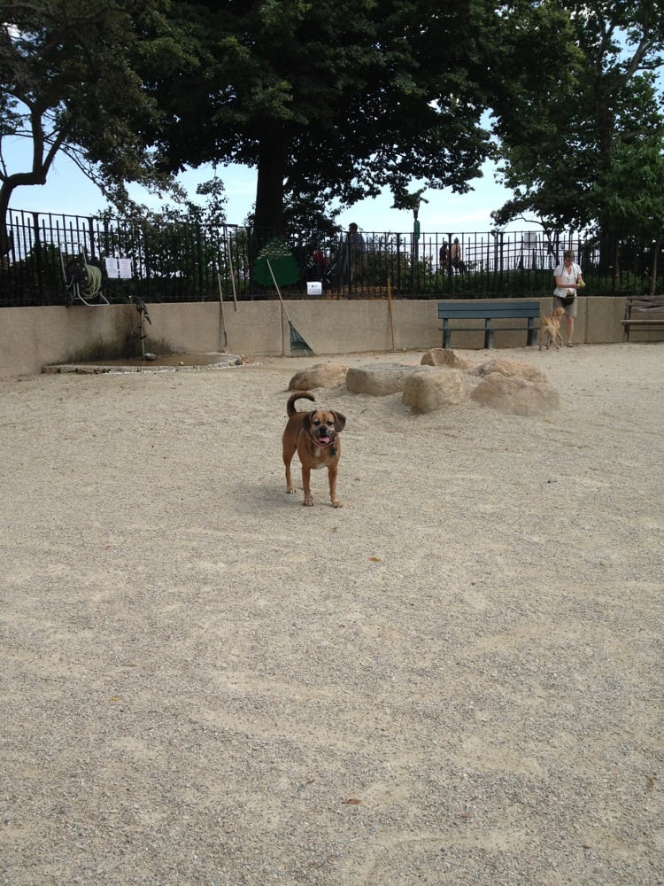 Carl Schurz Park Dog Parks New York, NY Yelp