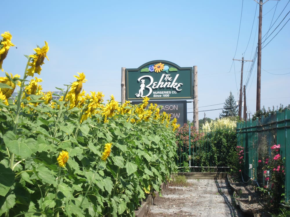 Behnke Nurseries Nurseries & Gardening Beltsville, MD Yelp