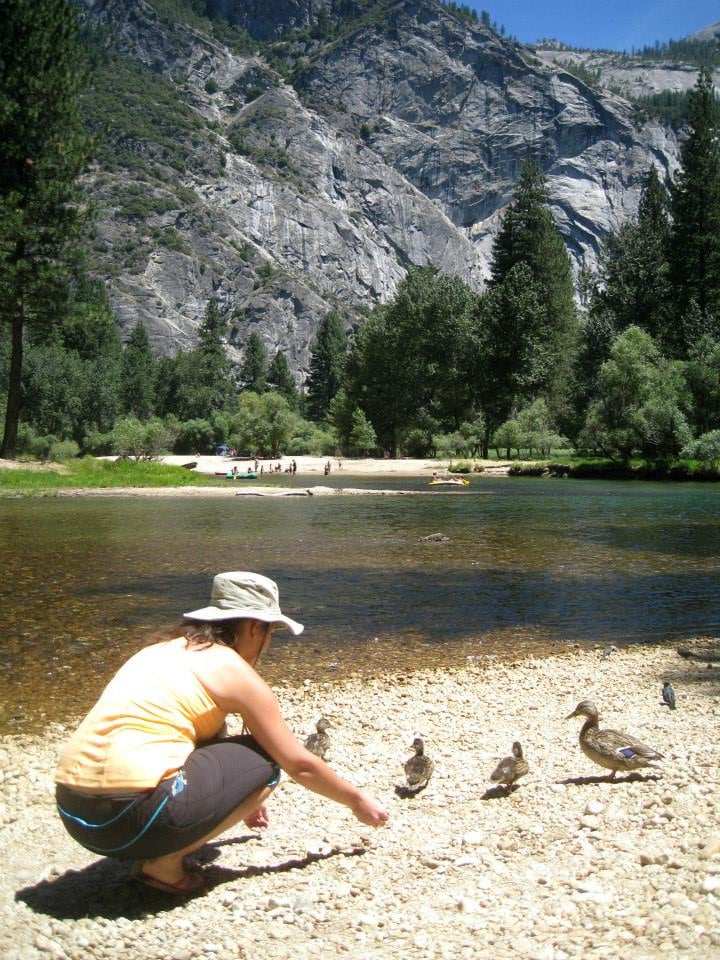 Curry Village Recreation Center, Rafting and Ice Skating Skating