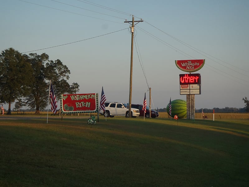 Okatoma Outdoor Post Sporting Goods Seminary, MS Reviews Photos