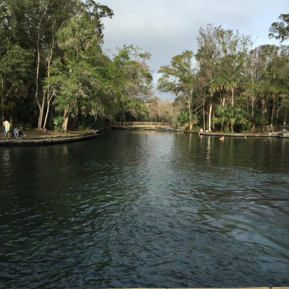 Wekiva Island 48 Photos Rafting/Kayaking Wekiva Springs
