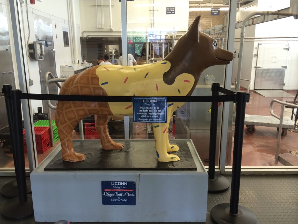 UConn Dairy Bar 96 Photos Ice Cream & Frozen Yogurt Storrs