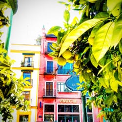 HOSTALES SEVILLA ESPANA hostales sevilla espana: