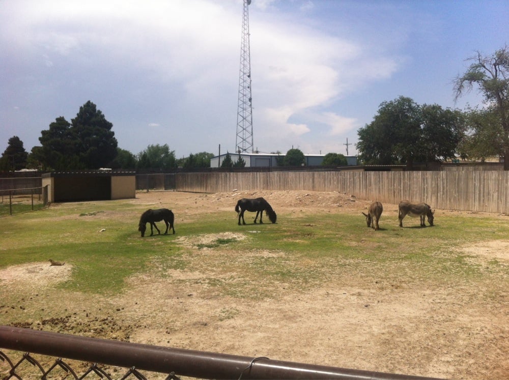 Spring River Park and Zoo - Zoos - Roswell, NM - Yelp