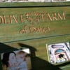 Olive Farm