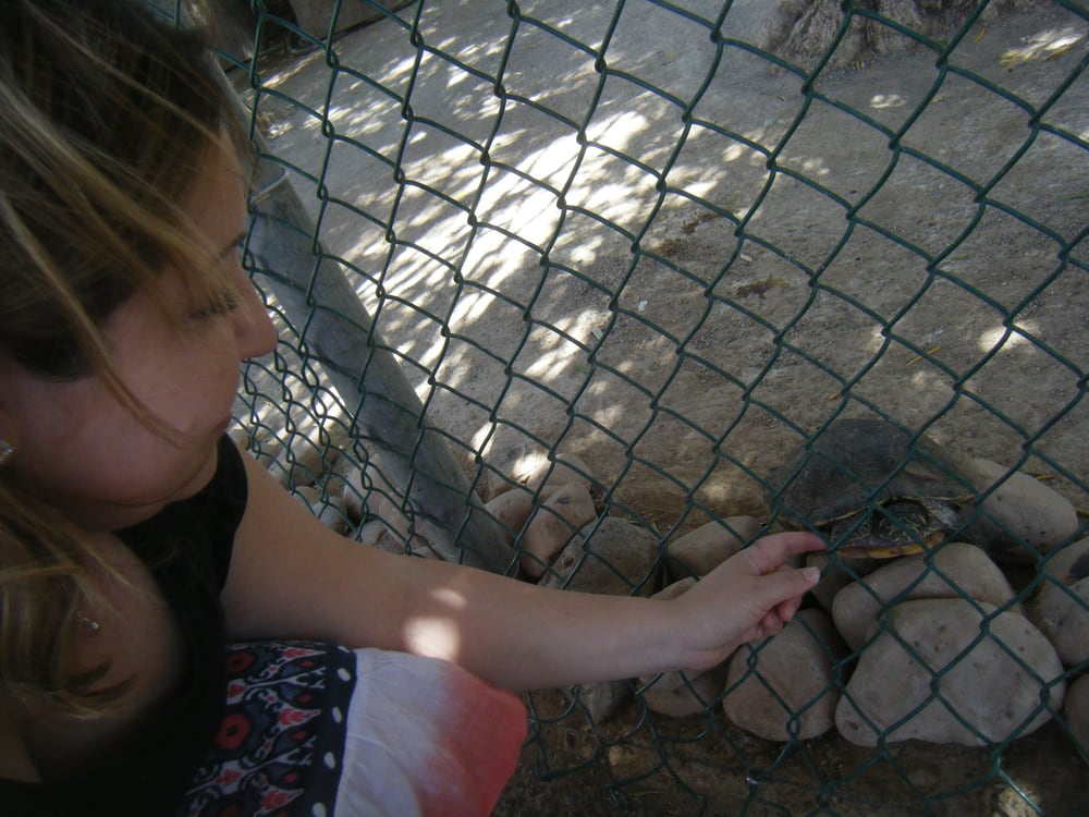 Photos for Southern Nevada Zoological and Botanical Park | Yelp Photos for Southern Nevada Zoological and Botanical Park | Yelp