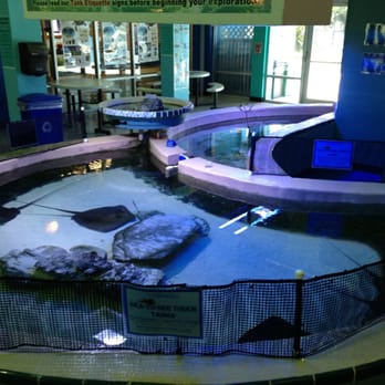 Imaginarium fort myers coupons