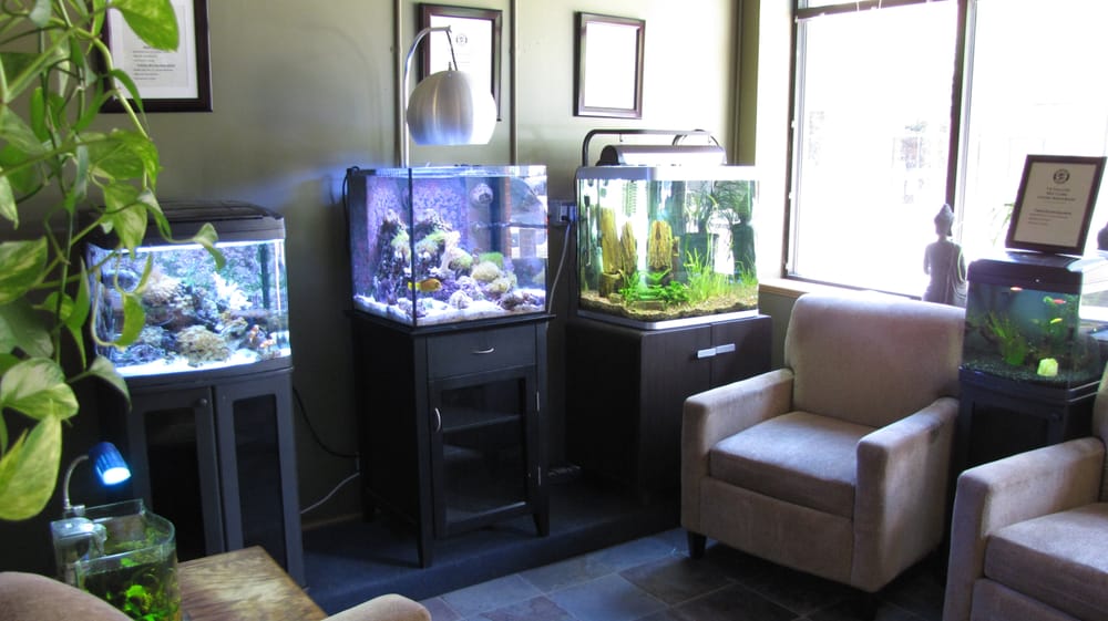 aquatic world pet stores roscoe village chicago il aquatic world pet stores roscoe village chicago il