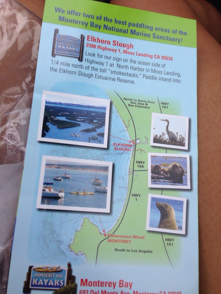 Elkhorn Slough Parks Moss Landing, CA Reviews Photos Yelp