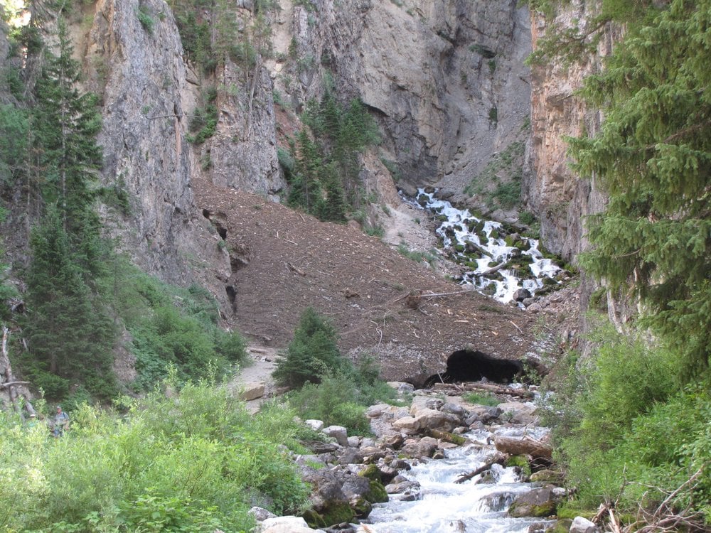 Intermittent Spring 56 Photos Hiking Afton, WY Reviews Yelp