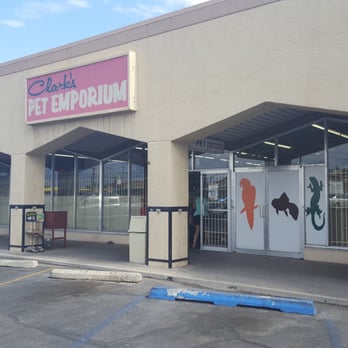 clark s pet emporium 27 photos 35 reviews pet shops clark s pet emporium 27 photos 35 reviews pet shops