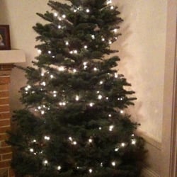 delancey street christmas tree lot christmas trees delancey street christmas tree lot christmas trees