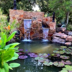 Hill Country Water Gardens & Nursery - Nurseries & Gardening - Cedar