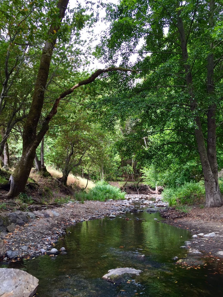 Photos for Sugarloaf Ridge State Park | Yelp