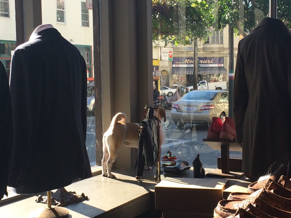 Al’s Attire Fashion North Beach/Telegraph Hill San Francisco, CA Yelp