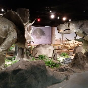 Las Vegas Natural History Museum Jobs Las Vegas Natural History Museum Jobs