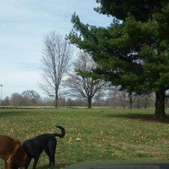 Tom Sawyer Dog Park Louisville Tom Sawyer Dog Park Louisville