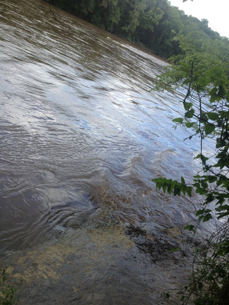 Raven Rock State Park 41 Photos Parks Lillington, NC, United