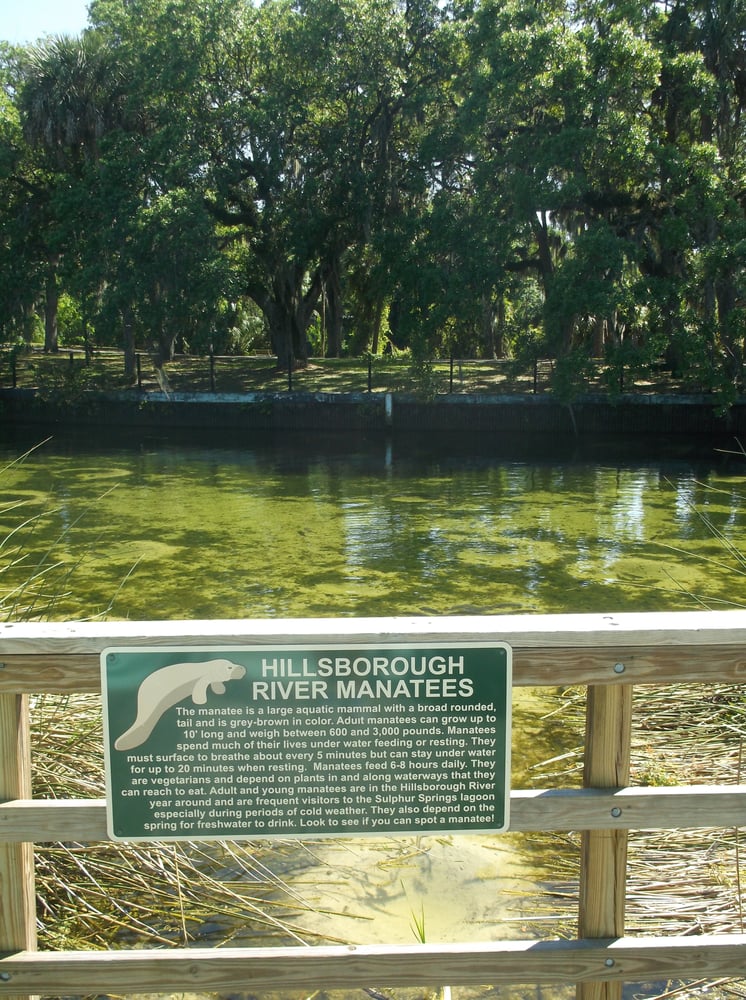 Sulphur Springs 19 Photos Parks 713 E Bird St Tampa, FL