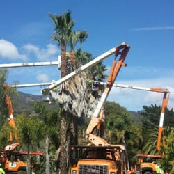 Pacific Coast Tree Experts