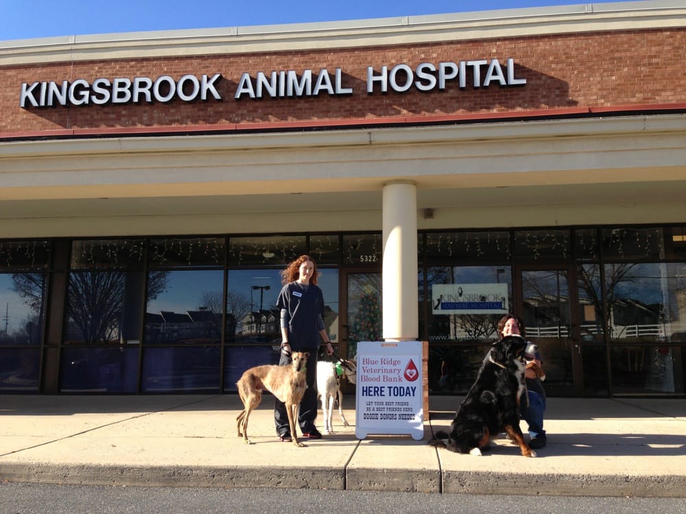 Kingsbrook Animal Hospital 18 Photos Veterinarians Frederick, MD