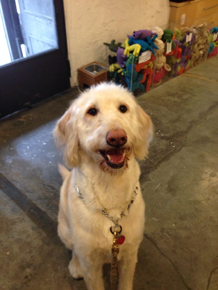 Doggy Style Pet Stores Greenwich Village New York, NY Yelp