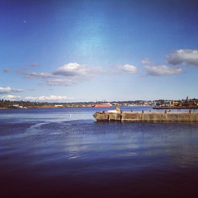 tugboat annies olympia wa tugboat annies olympia wa yelp tugboat annies olympia wa tugboat annies olympia wa yelp