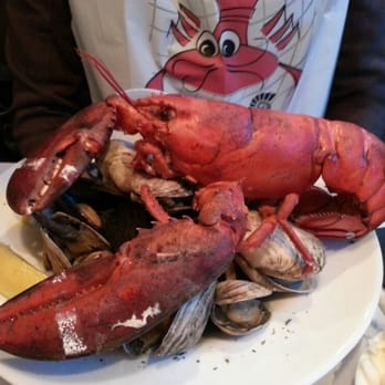 Dolphin seafood natick ma coupons