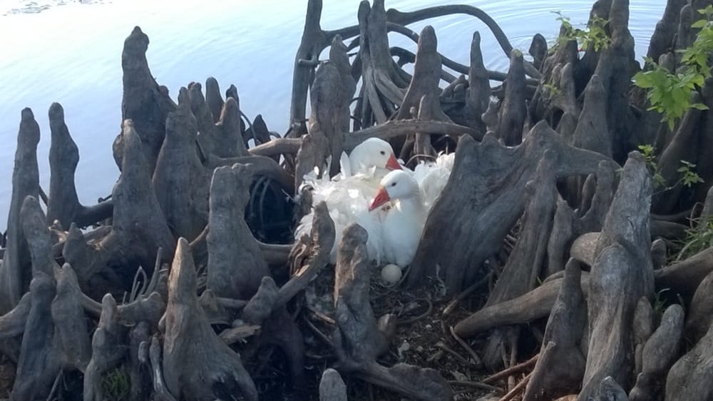 The Denman Estate 81 Photos Venues & Event Spaces Medical Center