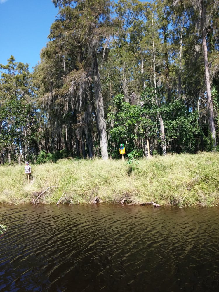 Bedner’s Farm Fresh Market 117 Photos Farmers Market Boynton