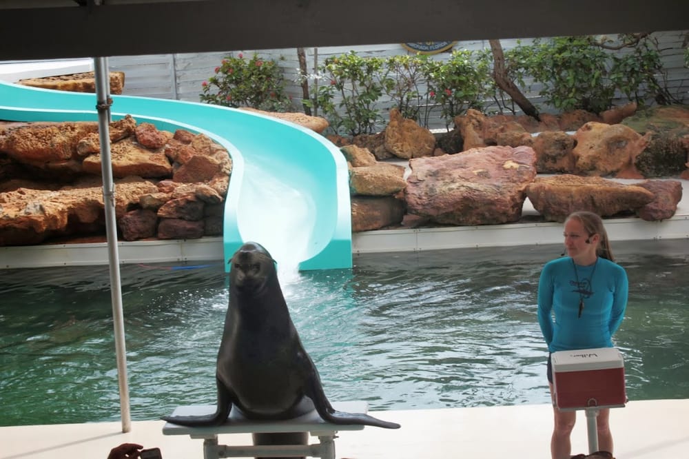 Theater of the Sea Amusement Parks Islamorada, FL, United States Reviews Photos Yelp